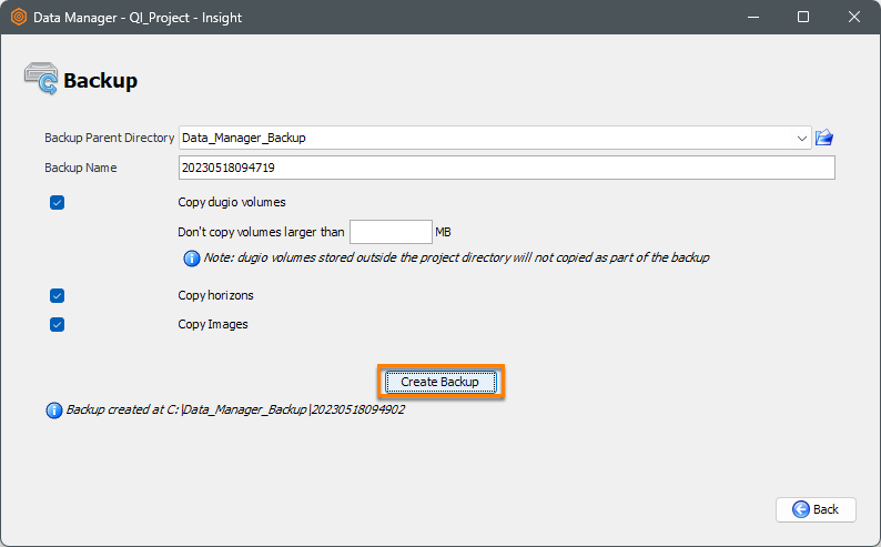 Data Manager manual backup