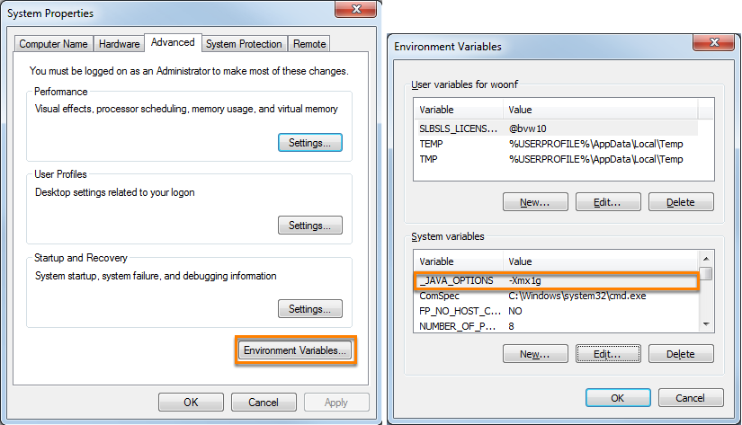 Edit environment variable