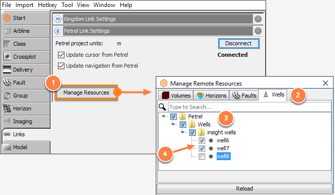 Link resources (items) from Petrel to Insight