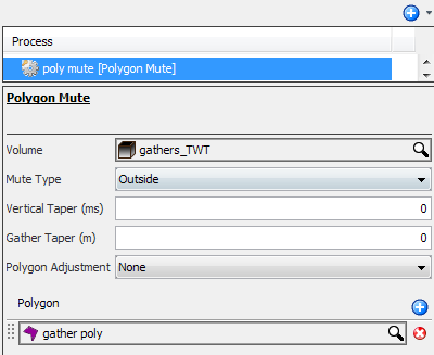 Create a Polygon Mute process