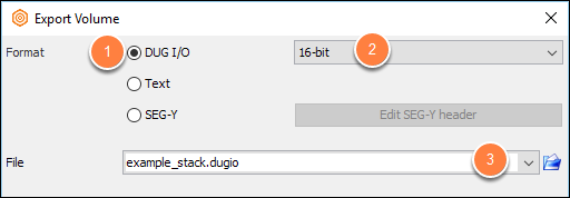Export a 3D volume to DUG I/O