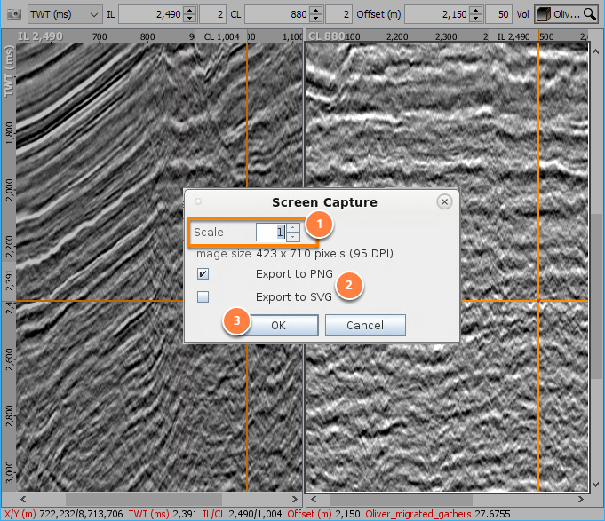 Screen capture scale