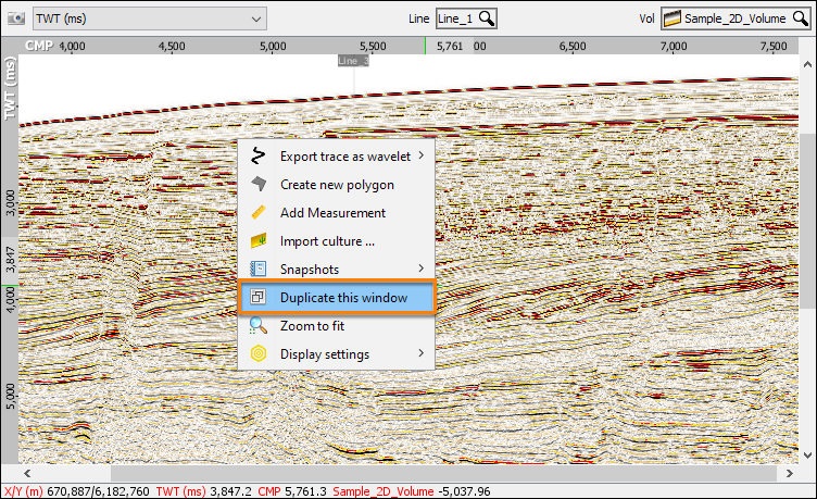 Duplicate window