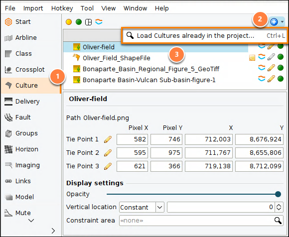 Load and display a culture file on the map