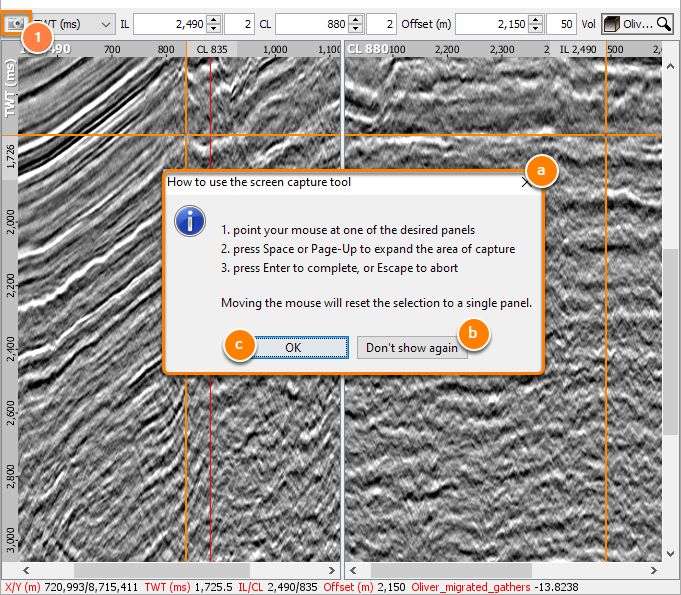Screen capture dialog