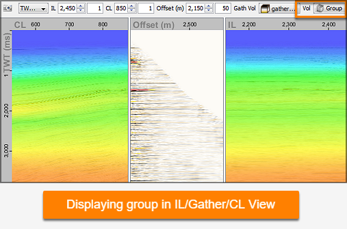View volume group data